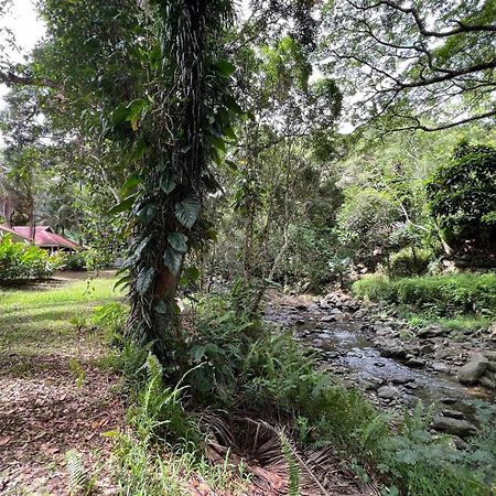 Evasion Bungalow Tropical Spa Sarraméa Eksteriør billede