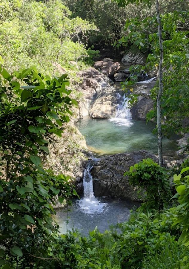 Evasion Bungalow Tropical Spa Sarraméa Eksteriør billede