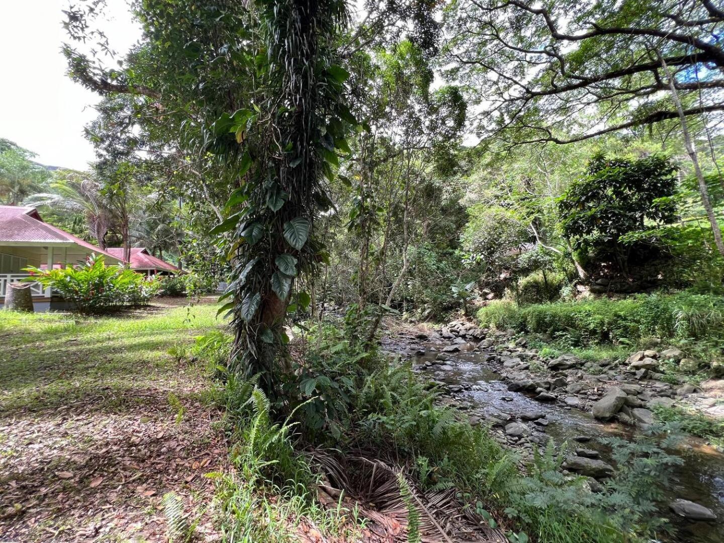 Evasion Bungalow Tropical Spa Sarraméa Eksteriør billede